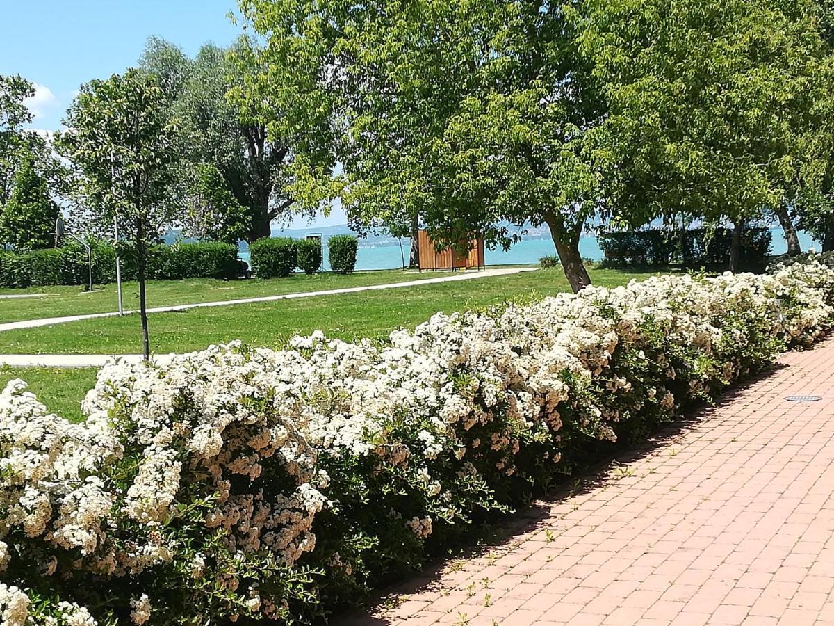 Zamardi Siraly Apartment Bagian luar foto